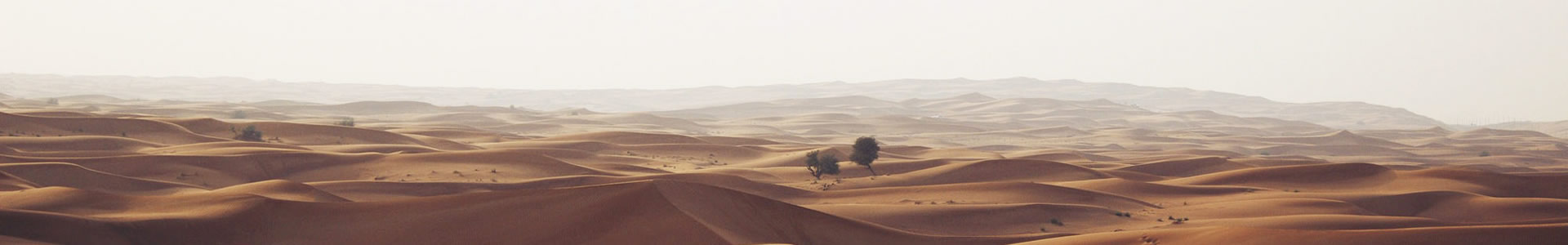 оܽ޹˾